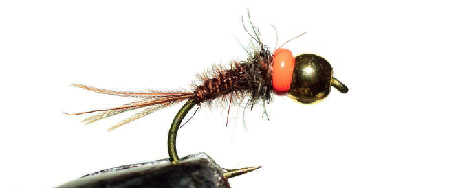 Bidoz Neck Ring : Orange spot