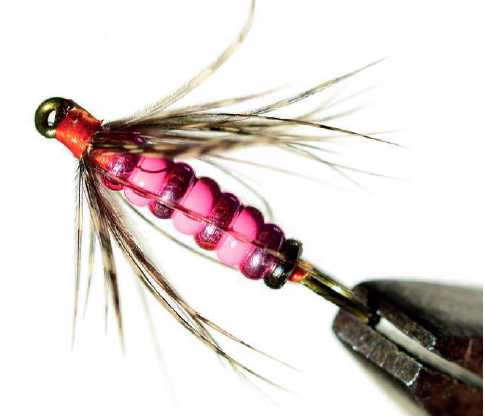 Bidoz Neck Ring : la mouche collier