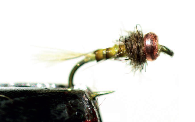 Bidoz Neck Ring : micro Neck Ring nymphe