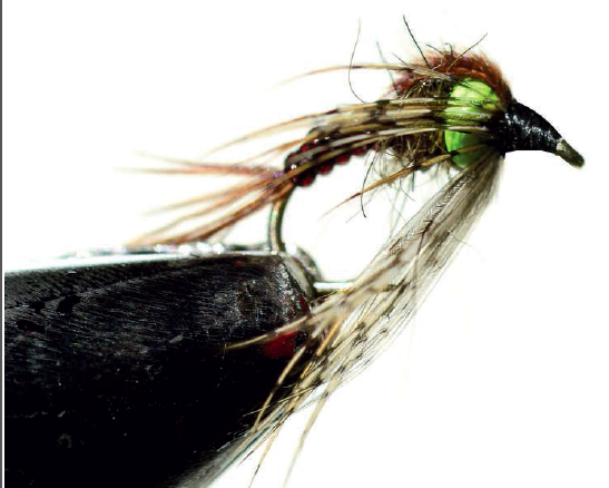 Bidoz Neck Ring : nymphe pour la pêche en lac