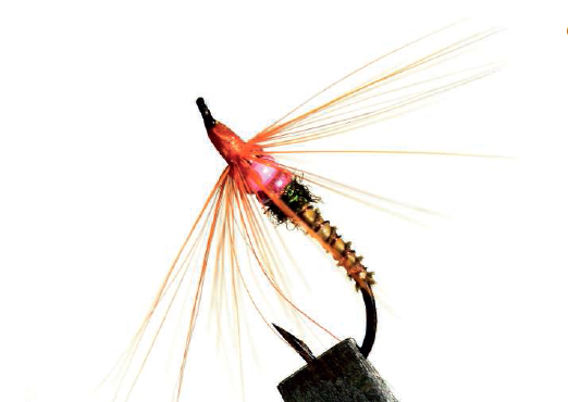 Bidoz Neck Ring : mouche à salmonidés migrateurs