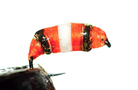 Bidoz Neck Ring : Neck ring bug