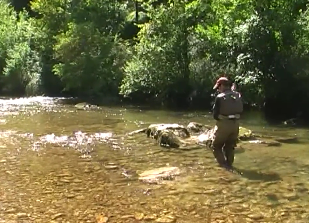 Pêches Sportives Vidéo n°32 : Pêche à la nymphe “au fil”. Test des produits Hanàk et Mouche Ellipse