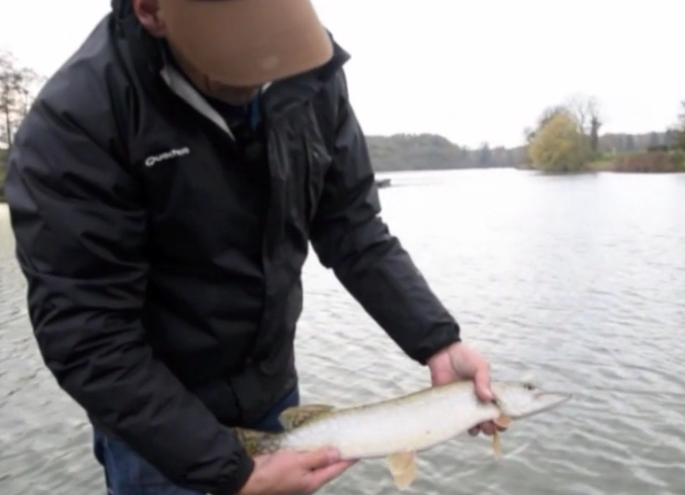 Pêches Sportives Vidéo n°37 : Comment aborder un plan d’eau inconnu en pêchant aux leurres