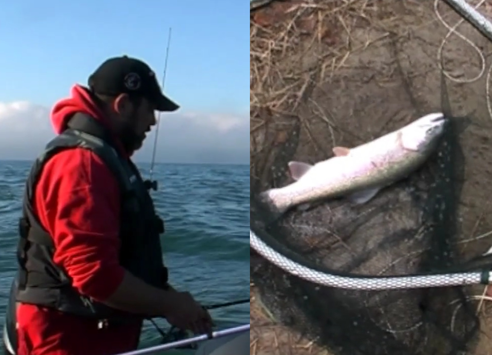 Pêches Sportives Vidéo n°29 : Pêches aux leurres en mer, pêche à la mouche en « Washline »