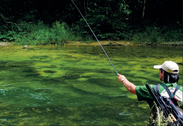 le tenkara au banc d’essai !