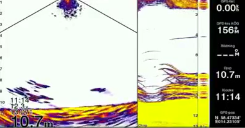 Garmin Panoptix, l’échosondeur qui révolutionne les échosondeurs !