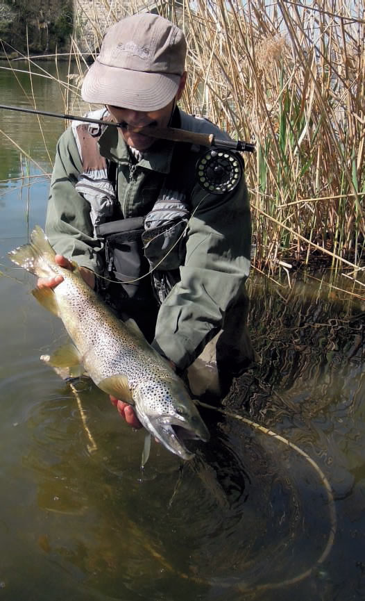 Rêves et désillusions d’un incroyable début de saison (2) : La truite du pont