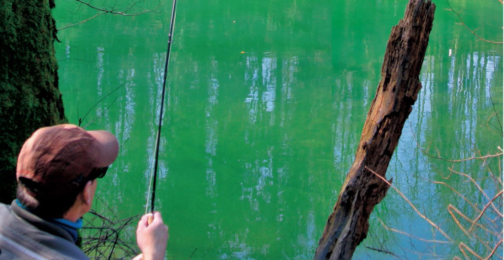 Rêves et désillusions d’un incroyable début de saison (1) : le réserviste