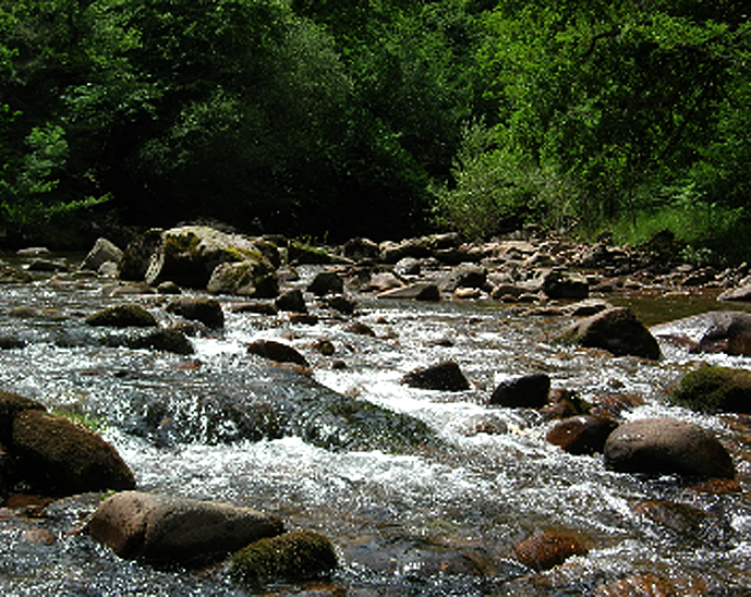 Lancement du contrat territorial Nives (64)
