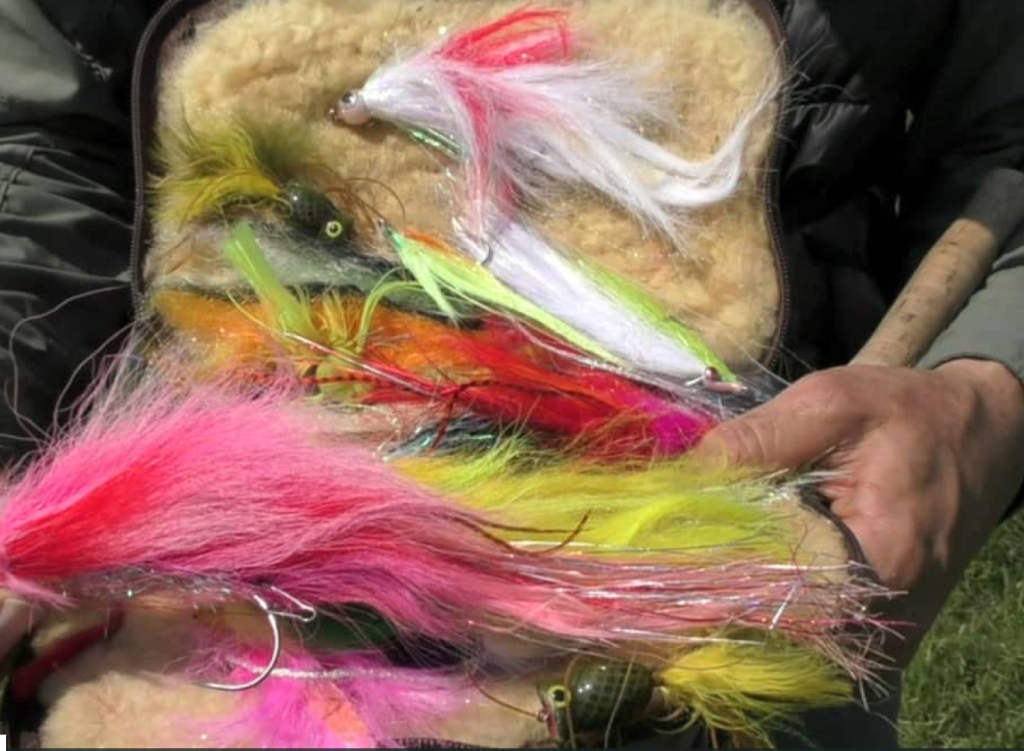 Pêches Sportives Vidéo n°40 : Pêche du brochet à la mouche en Hollande avec Alain Barthélémy