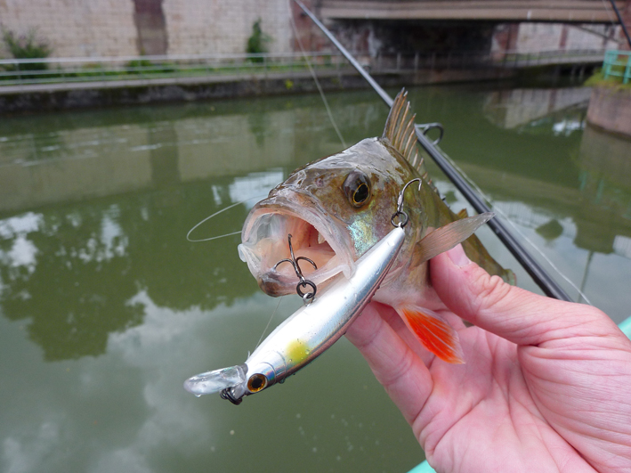 Face à la dame de fer !