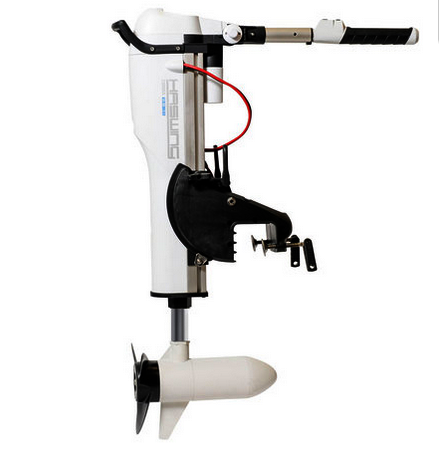 Haswing, des moteurs électriques à découvrir !