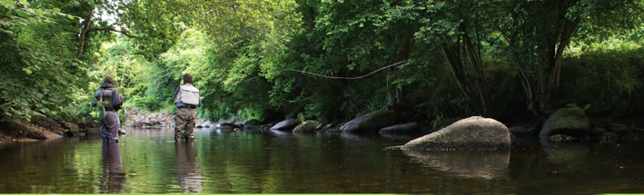 Le Léguer, nouveau canditat  au label Site Rivière Sauvage