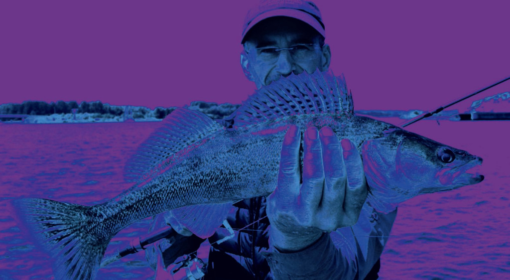 Le mystère de l’ultraviolet