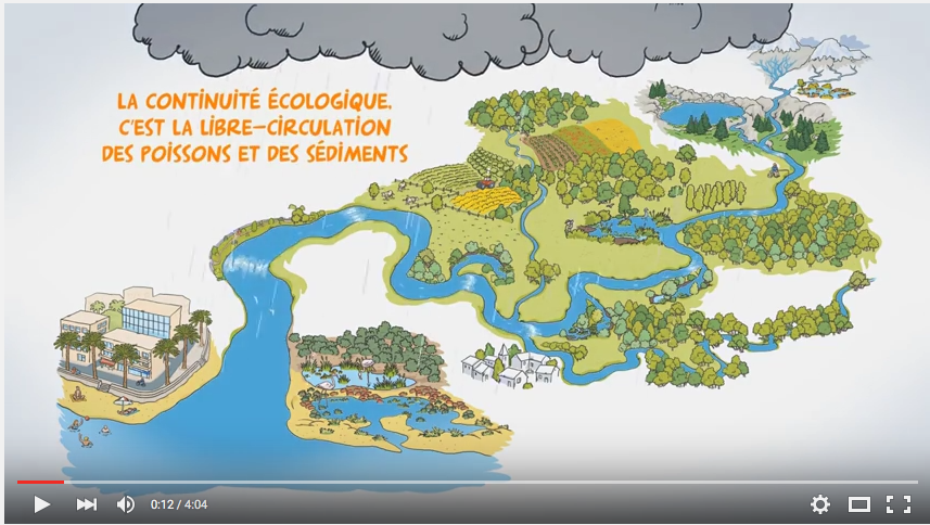La continuité écologique pour les nuls