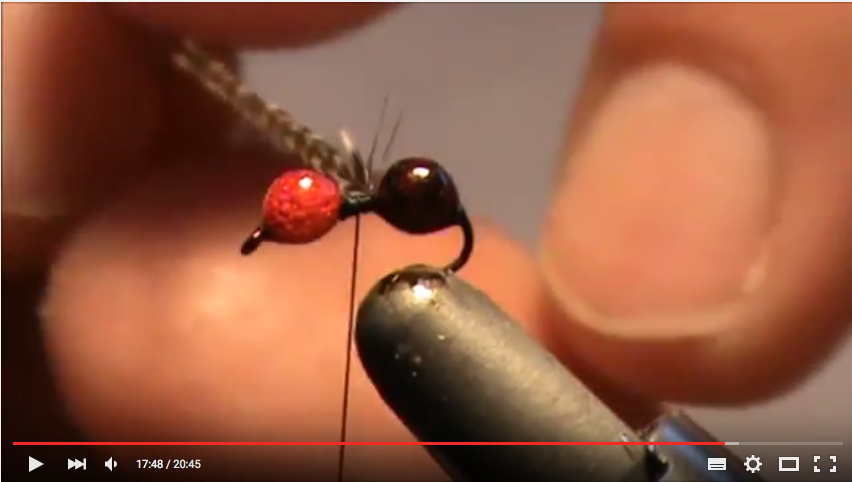 Gaskell Glue, pour des fourmis plus vraies que nature !