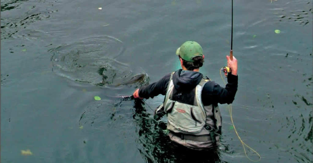 N°1. Initiation à la pêche à la nymphe au fil