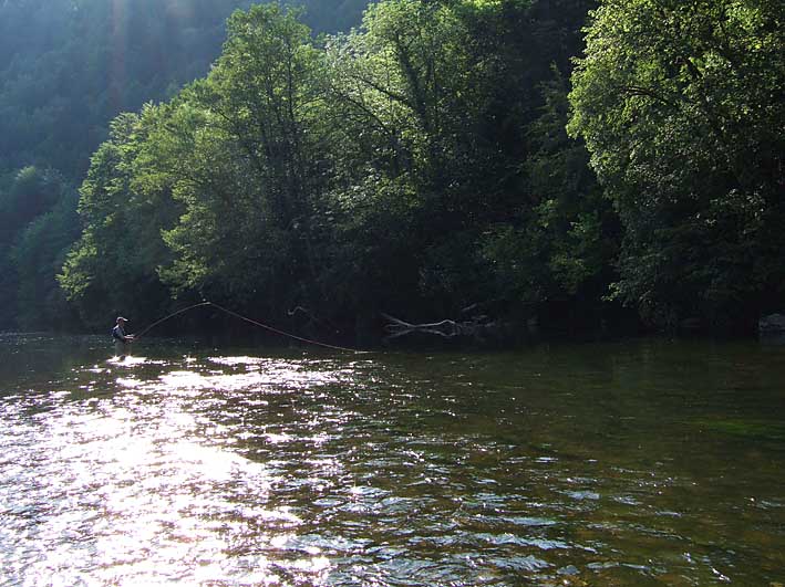 Ça chauffe pour le Parc Naturel Régional du haut Allier !