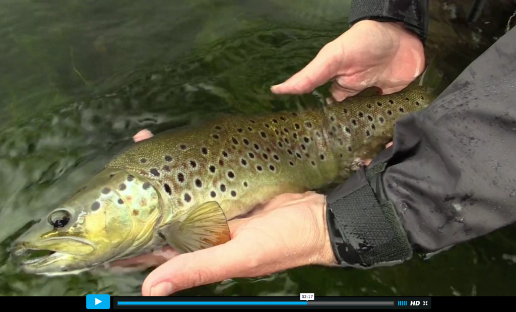 Dordogne, les 4 saisons de la pêche à la mouche