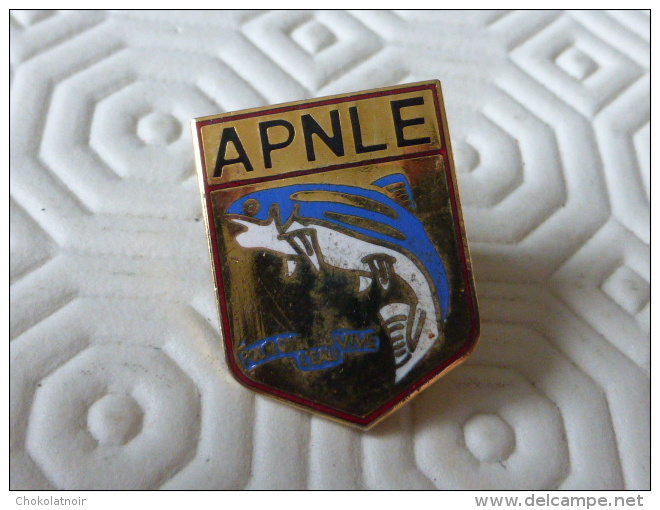 APNLE, reprise des cours en septembre