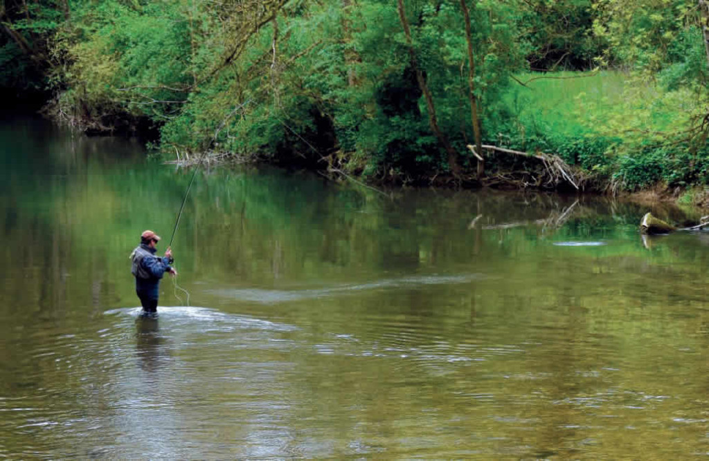 Où pêcher ? Le Rognon sort de l’ombre !