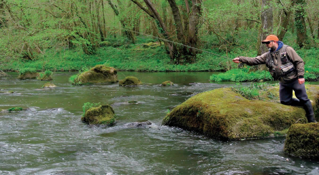 Quatre rivières où pêcher cet été
