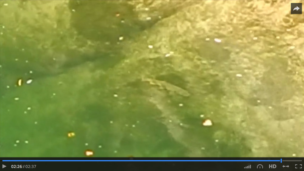 La belle du Chéran !