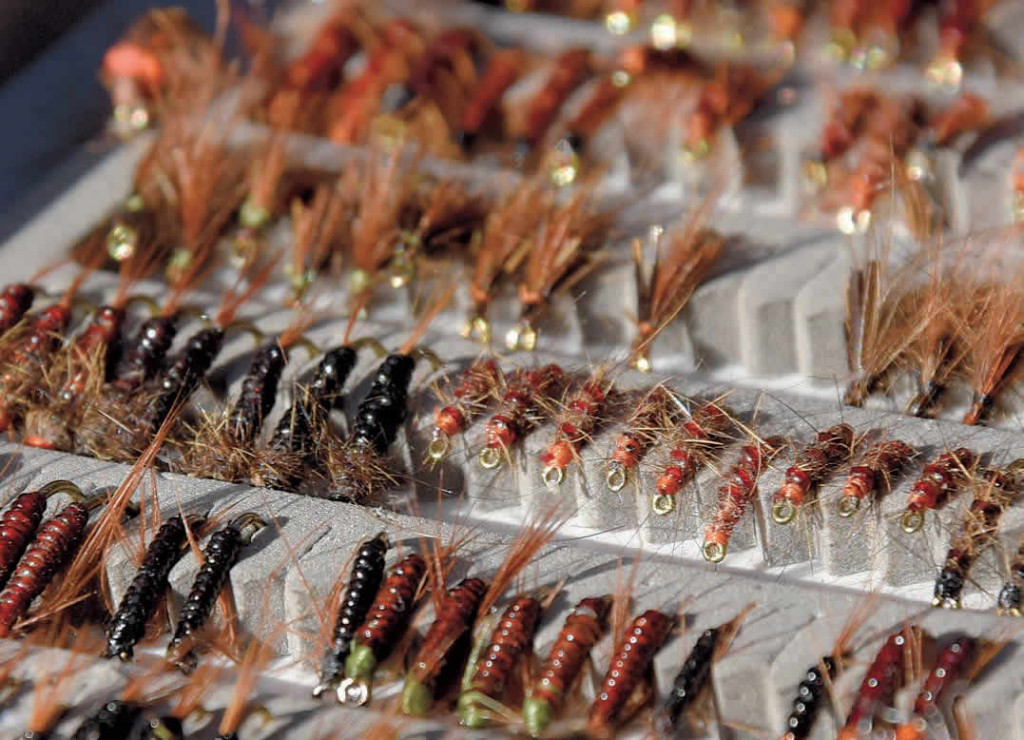 Boîte à nymphes, de la logique sinon rien !