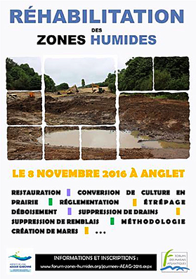 Réhabilitation des zones humides, tous à Anglet !