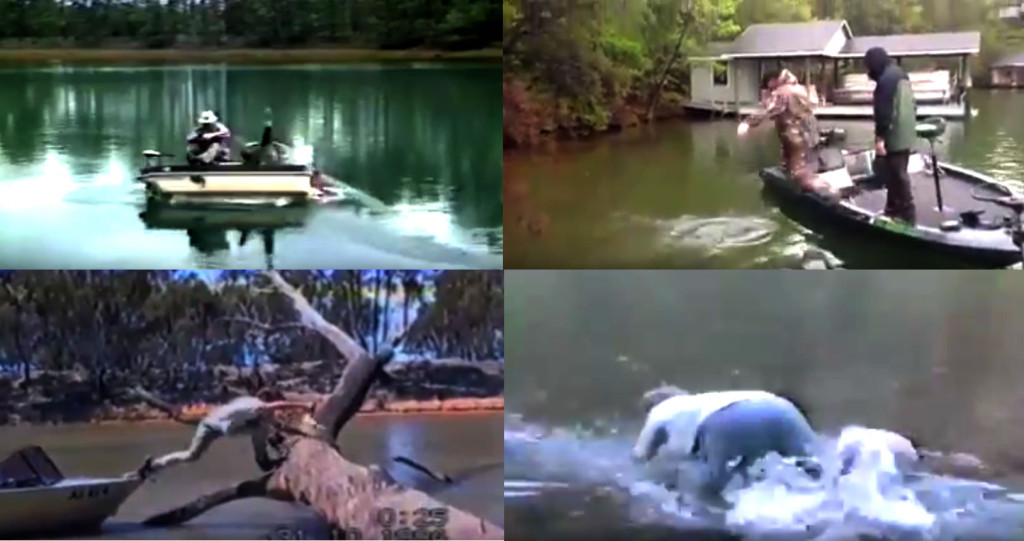 La pêche pour les nuls, le retour !