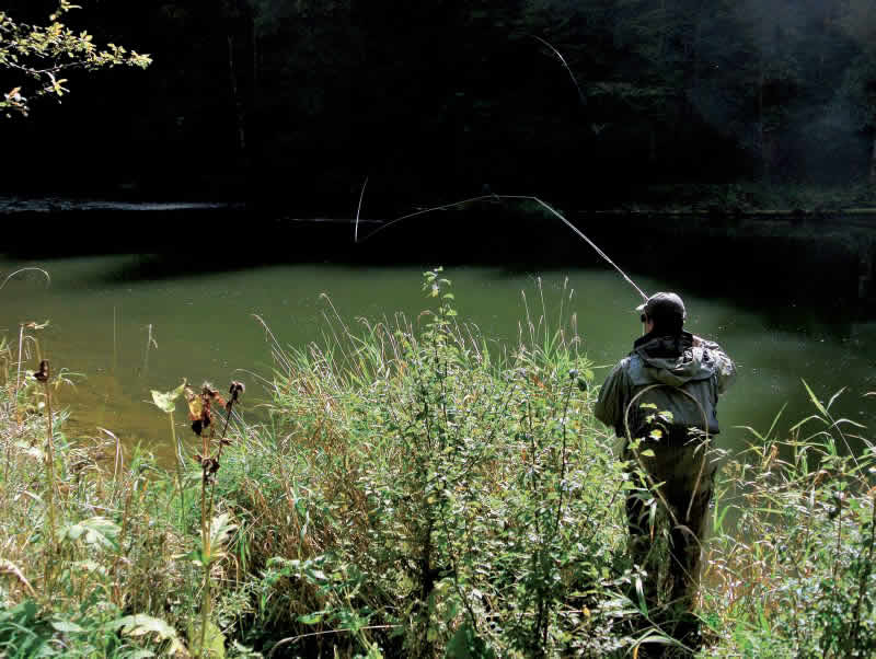 De la cohérence d’une boîte à nymphe