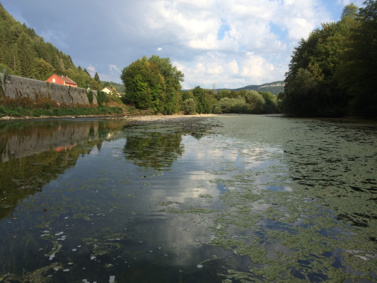 La fédération de pêche du Jura recrute un stagiaire pour la Bienne