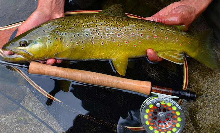 Tous au Fishing Show du 2 au 4 décembre à Etampes !