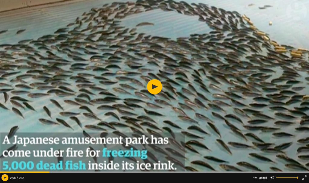 Japon, le poisson congelé jette un froid… 