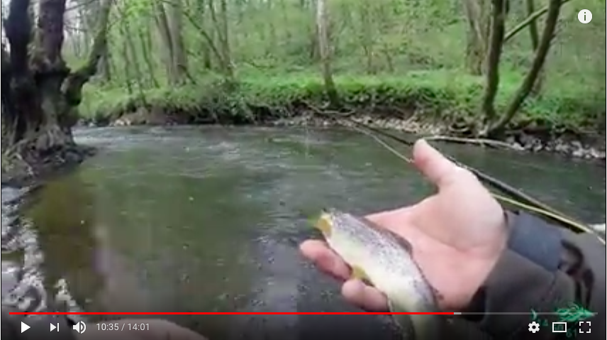 A la découverte de l&rsquo;Hameçon Versonnais