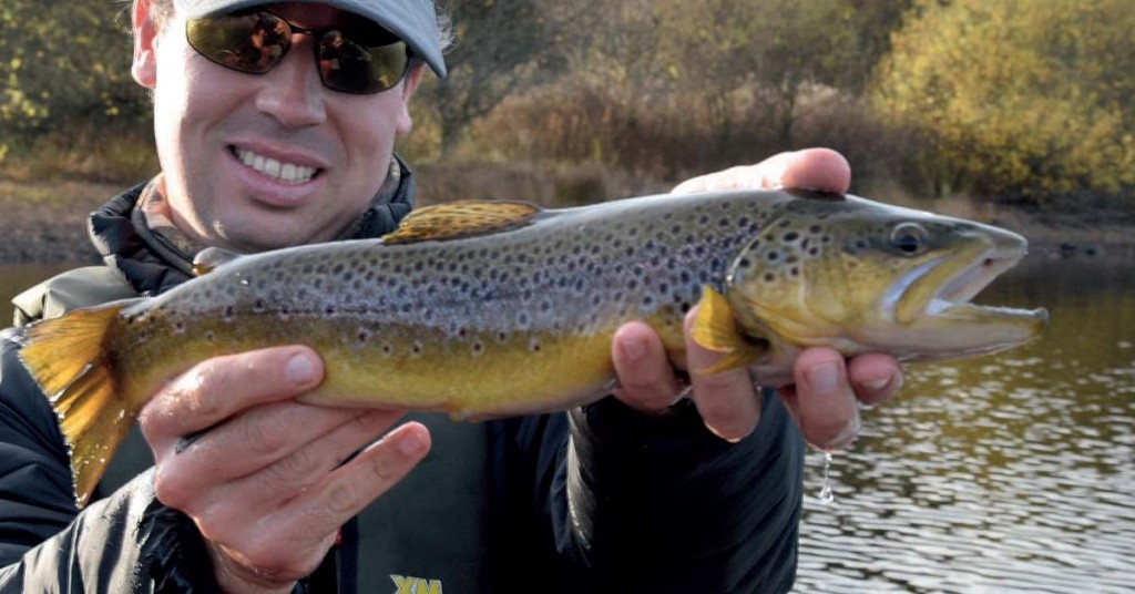 N°4. La pêche en réservoir (2e partie)