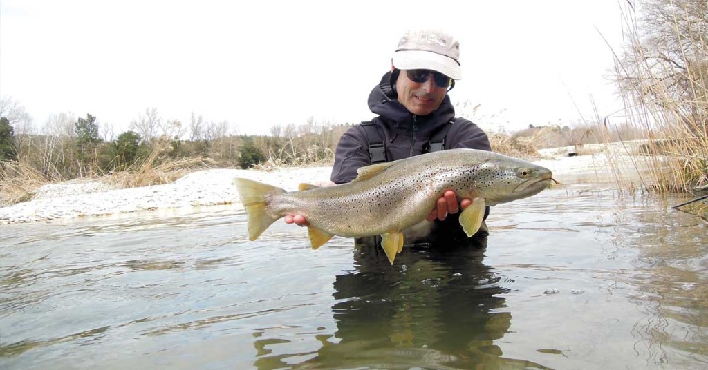 “Magic ring”, la nymphe qui ne drague pas !