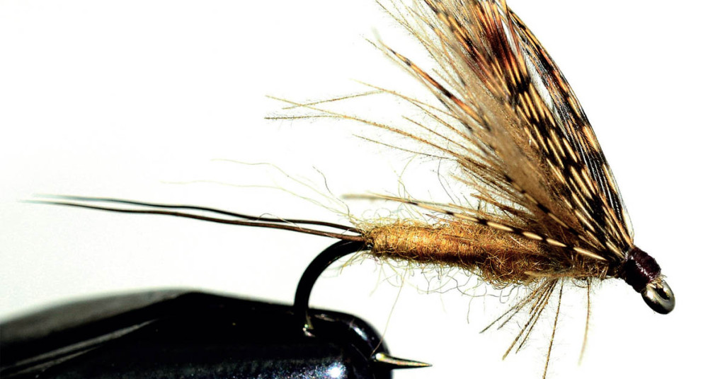 Six mouches pour ne pas rater son début de saison