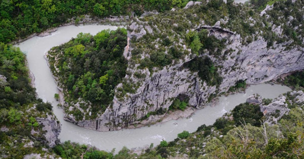 La truite méditerranéenne du bas Verdon, bulletin d’information