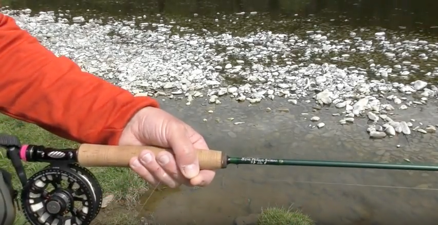 Pêches Sportives Vidéo n°47 : Technique du lancer de la mouche avec Philippe Boisson