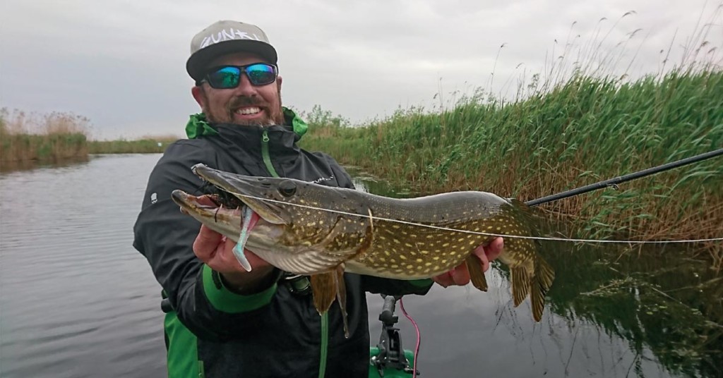 Huit jours dans le delta du Danube, au pays des becs dans l’eau