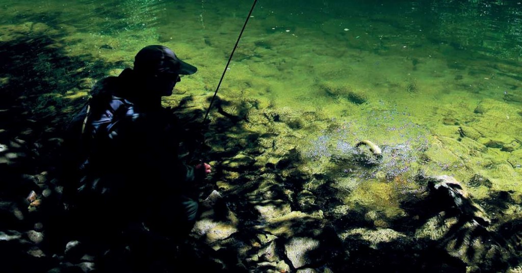 Détendez-vous, allez à la pêche * !