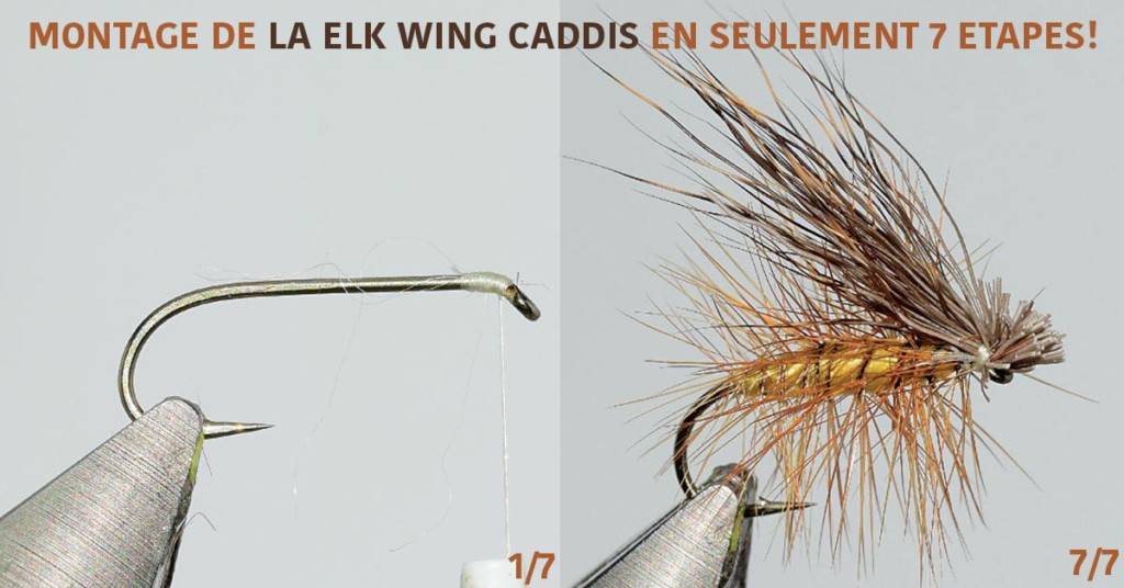 Comment bien monter les mouches de légende. 12. La elk wing caddis