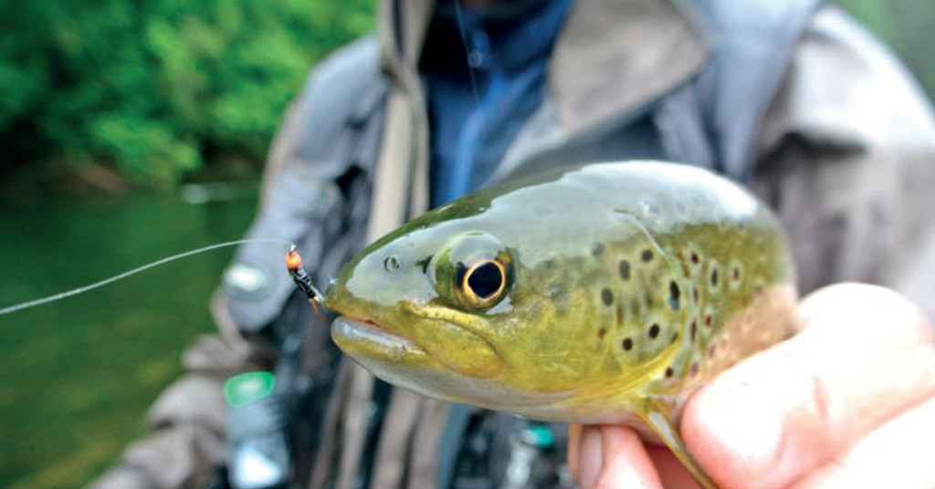 N°6. La pêche à la nymphe à vue
