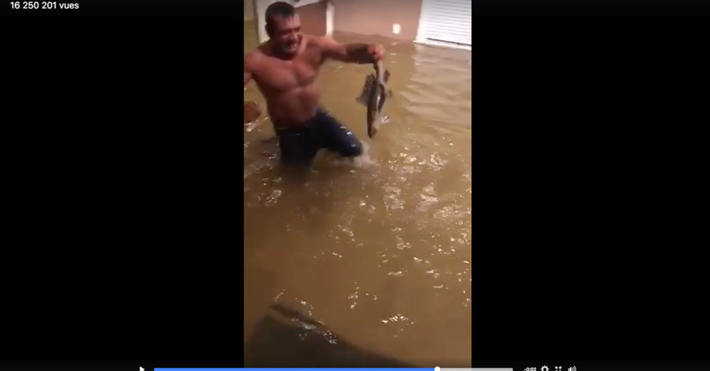 Vidéo. Du bon coté des inondations !