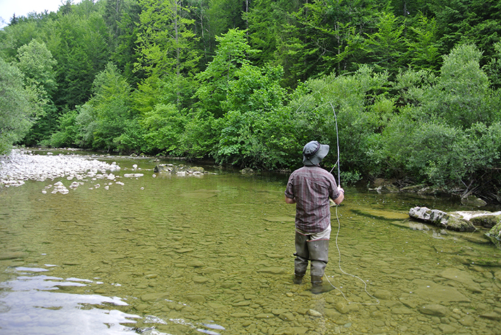 Le non sens des micro-centrales hydroélectriques en zone de montagne !