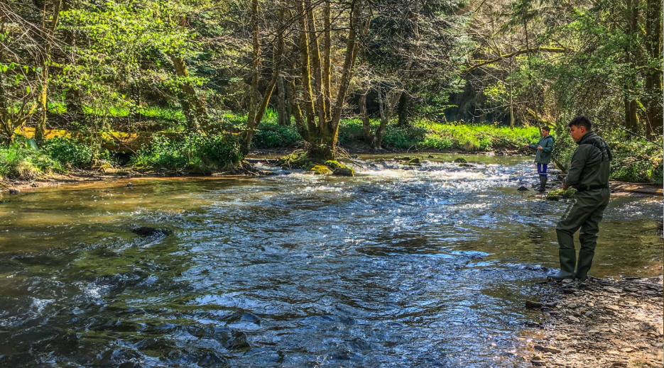 Fermeture de la pêche en première catégorie le 17 septembre