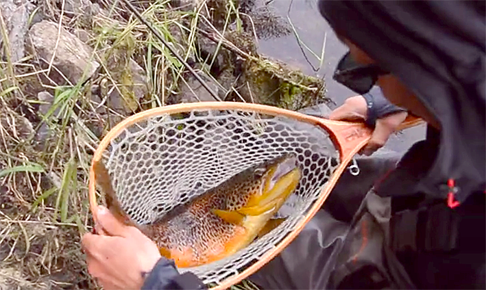 Fishing the lough Mask, une vidéo qui donne envie de pêcher !