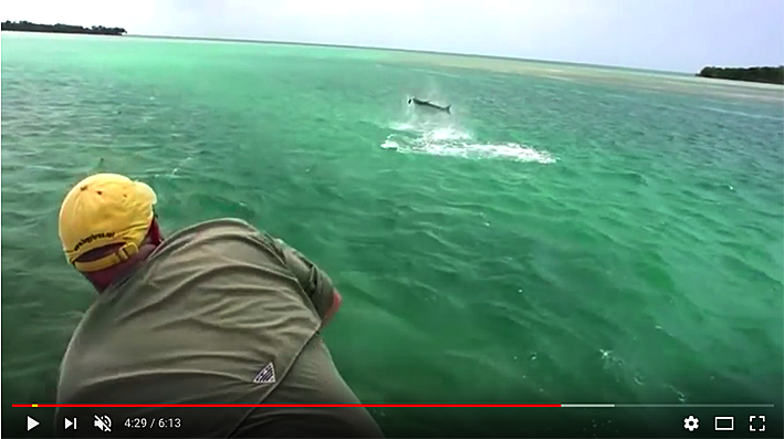 Hogy, c&rsquo;est la folie !